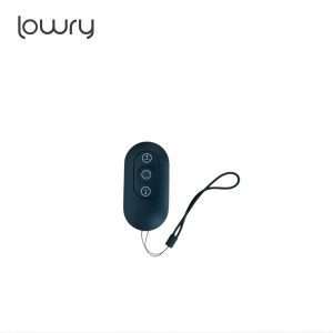 Genuine Lowry Patio Heater Remote Control LFPTH6